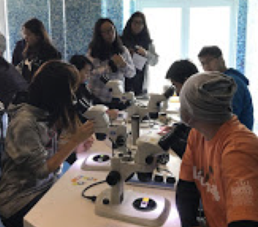 WWF Marine Plankton Workshop