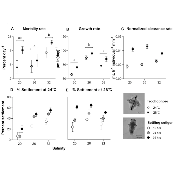 Co-occurring, congener tubeworms have significantly different salinity tolerance