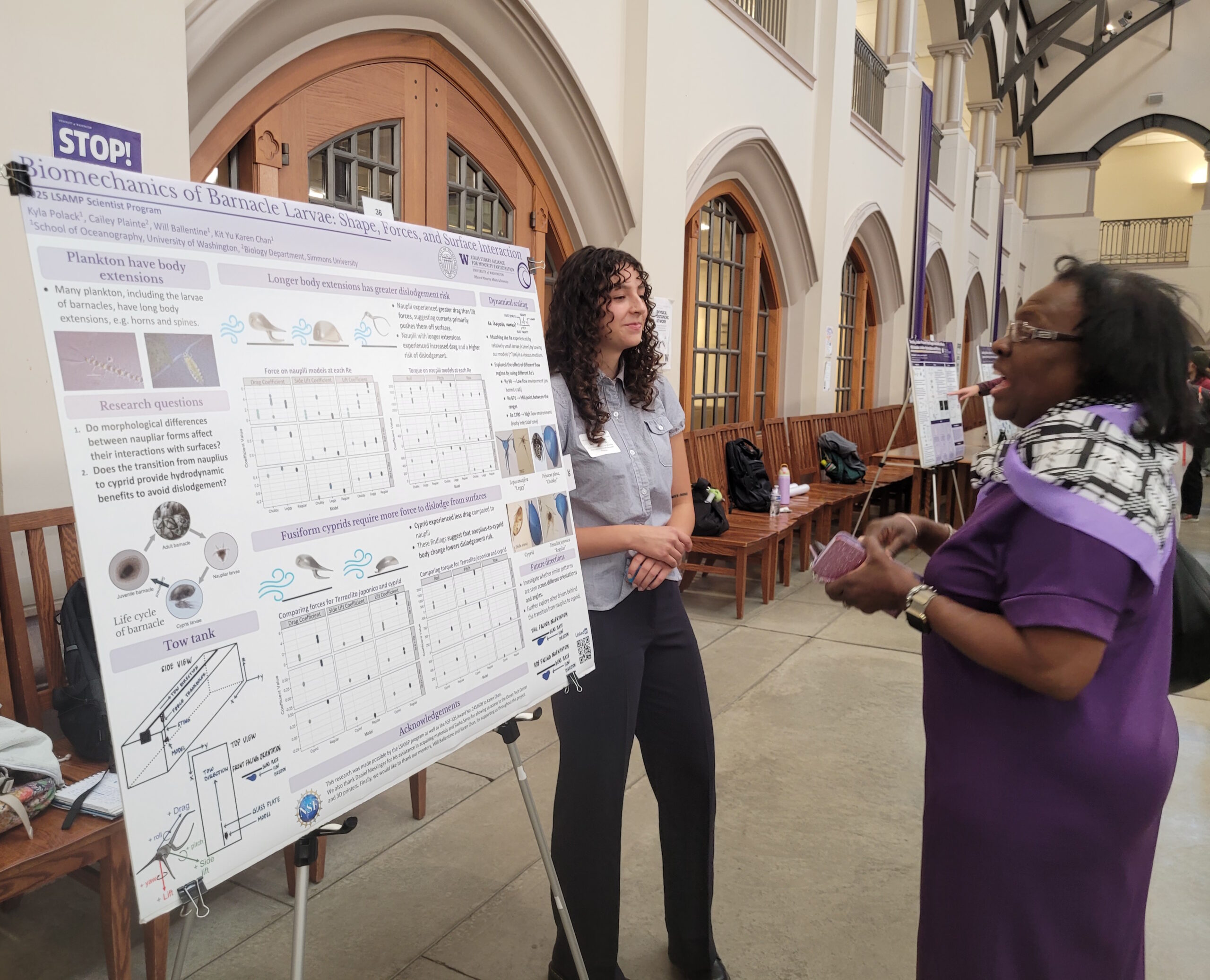 Summer REU students wrapped up their sweet research